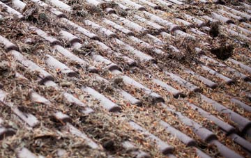 Exeter roof cleaning companies